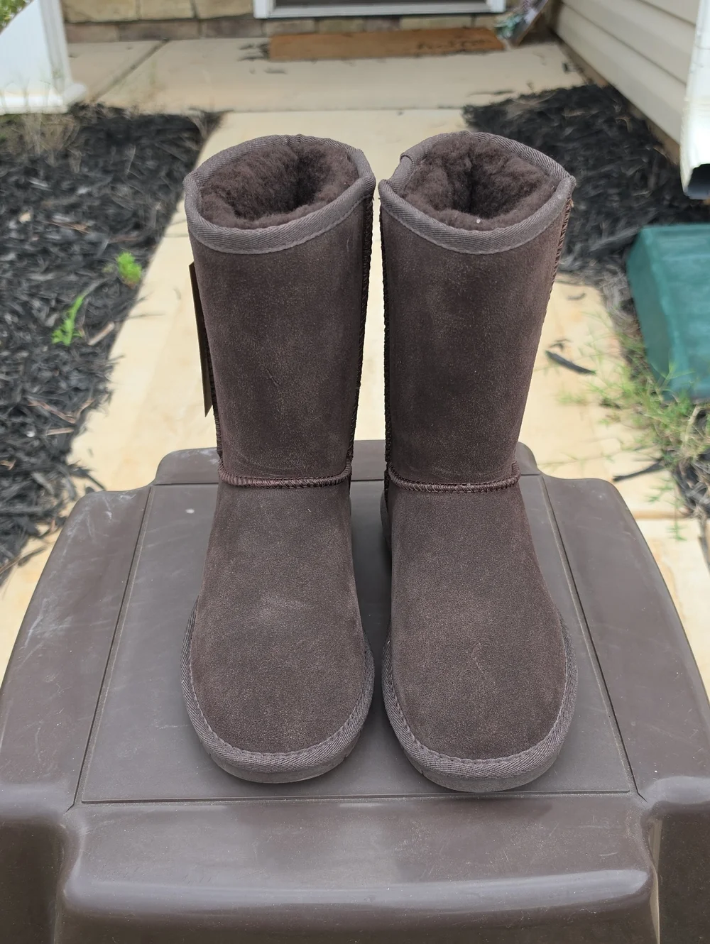 BearPaw elle short